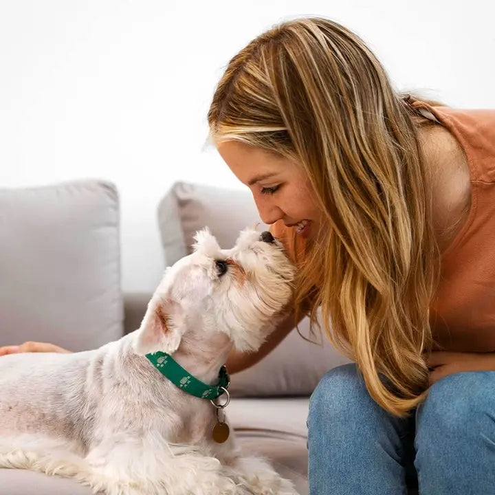 Finger Toothbrush vs. Traditional Dog Toothbrush: 5 Things You Should Know