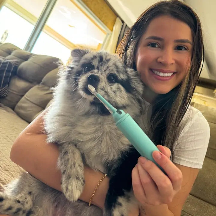 Best Toothbrush for Small Dog: Top Picks for Sparkling Smiles