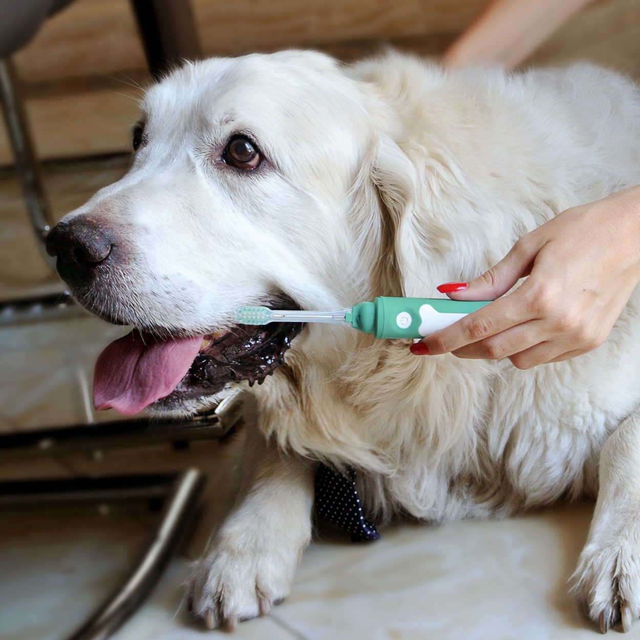Person using a wooden toothbrush, smiling.
