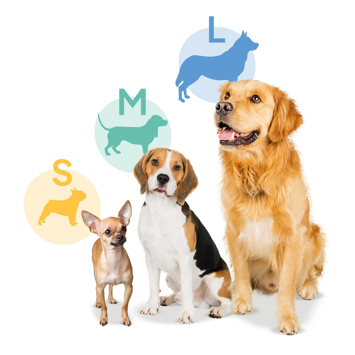 Dogs shown with small, medium and large Petsie size icons