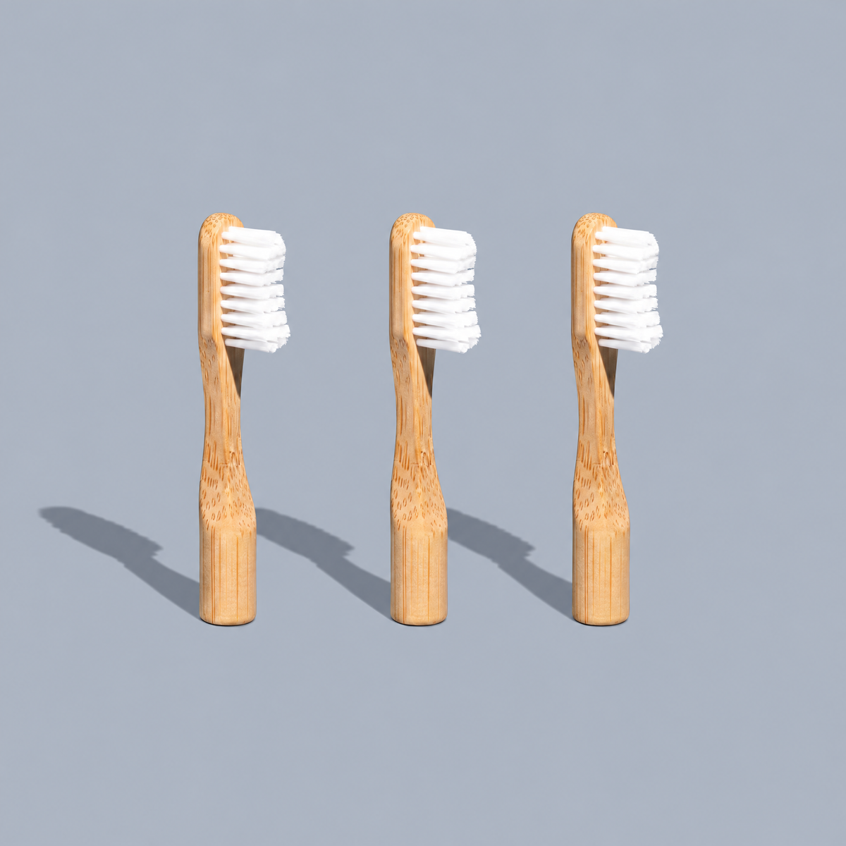 Adult Toothbrush Head Refill - Pack of 3